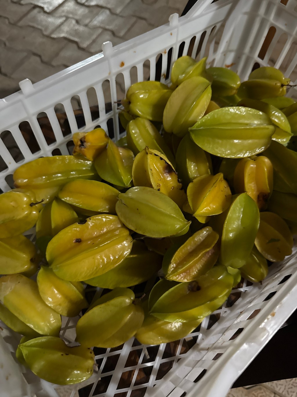 🌱 Cultivating the Future: A Deep Dive into Sustainable&nbsp;Farming